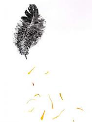 Feather {Fay-erie Dust}, 2014 (wood engraving and plant fragments on paper) | Obraz na stenu