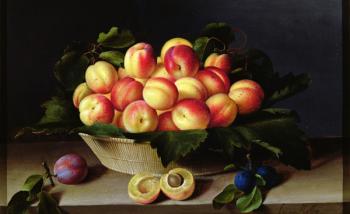 Basket of Apricots, 1634 (oil on panel) | Obraz na stenu