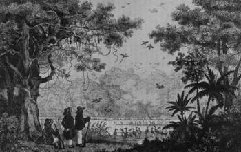 Bird Hunting, from 'Bresil, Columbie et Guyanes' by Ferdinand Denis and Cesar Famin (engraving) (b/w photo) | Obraz na stenu