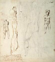 Study of the Christ Child and an Anatomical Drawing with Notes (black chalk & brown ink on paper) (verso) | Obraz na stenu