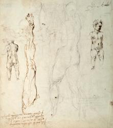 Study of the Christ Child and an Anatomical Drawing with Notes (black chalk & brown ink on paper) (verso) | Obraz na stenu