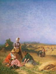 Gleaning | Obraz na stenu