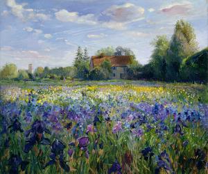 Evening at the Iris Field | Obraz na stenu