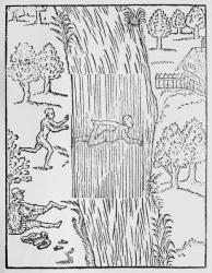 The art of swimming, 1587 (woodcut) | Obraz na stenu