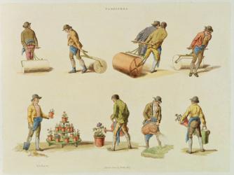 Gardeners, vol.2, plate 97, from 'Microcosm', printed by J. Hill, 1808 (hand coloured aquatint) | Obraz na stenu