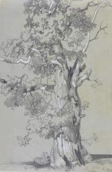 Parham, 13 October 1834 (graphite with white gouache on brown wove paper) | Obraz na stenu