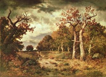 The Edge of the Forest, 1871 (oil on panel) | Obraz na stenu