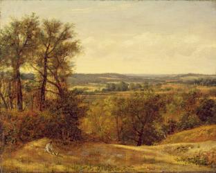 Dedham Vale, c.1802 (oil on canvas) | Obraz na stenu