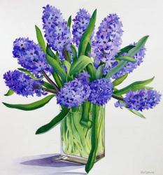 Blue Hyacinths (watercolour on paper) | Obraz na stenu