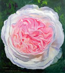 Victorian Rose (oil on board) | Obraz na stenu