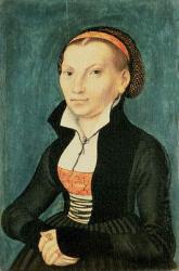 Katharina von Bora, future wife of Martin Luther, 1526 (oil) | Obraz na stenu