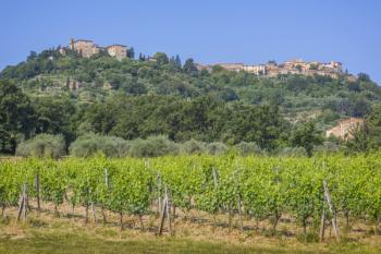 Montalcino, Tuscany, Italy (photo) | Obraz na stenu