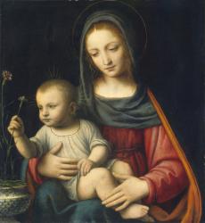 The Madonna of the Carnation, c.1515 (oil on panel) | Obraz na stenu