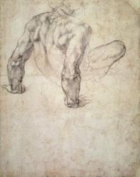 W.63r Study of a male nude, leaning back on his hands (pencil on paper) | Obraz na stenu