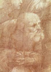 The School of Athens, detail of the cartoon depicting an elderly man, c.1510 (charcoal & white lead on paper) | Obraz na stenu