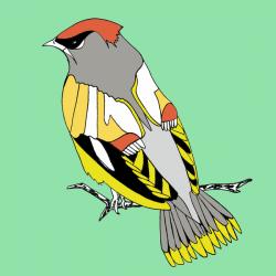 Winnie Waxwing, pen and ink, digitally coloured | Obraz na stenu