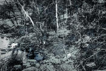 By the Creek, from the series Winter in Wales, 2016 (photograph) | Obraz na stenu