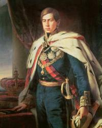 King Peter V (1837-61) of Portugal (oil on canvas) (detail) | Obraz na stenu