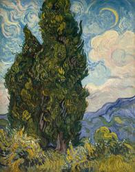 Cypresses, 1889 (oil on canvas) | Obraz na stenu