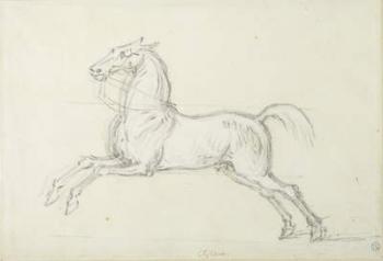 'Flying Childers' galloping to left: bridled but not saddled (black chalk heightened with white) | Obraz na stenu