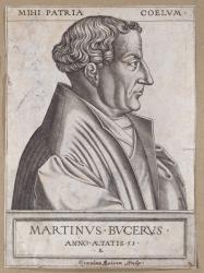 Martin Bucer (1491-1551) at the age of 53 (engraving) | Obraz na stenu