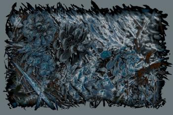 On the Path, from the series Tende Pinecones (2016_, photograph | Obraz na stenu