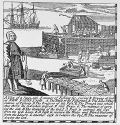 Early Fishing Stages, illustration from Volume IV of 'Narrative and Critical History of America', 1886 (engraving) | Obraz na stenu