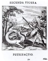 A knight defeating 'Rot' which is embodied by a dragon, from 'Musaeum Hermeticum Reformatum' by Basil Valentine, 1678 (engraving) (b/w photo) | Obraz na stenu