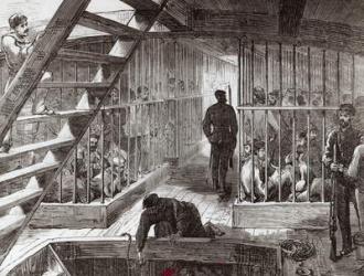 Caged prisoners on route to Botany Bay (litho) | Obraz na stenu