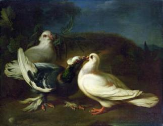 Doves, 1724 (oil on canvas) | Obraz na stenu