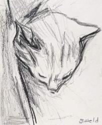Sleeping Cat, 2015, (pencil) | Obraz na stenu
