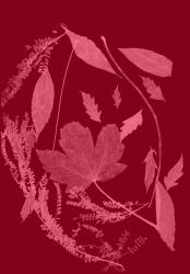 Red Foliage, 2017, (digital) | Obraz na stenu