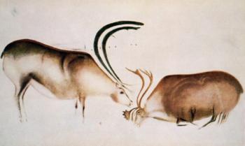 Male and female deer, Magdalenian school, c.13000 BC (cave painting) | Obraz na stenu