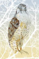 Peregrine Falcon, 2015, (ink & gouache on card) | Obraz na stenu
