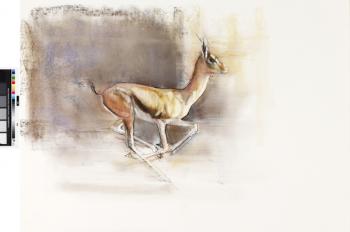 Desert Wind (Arabian Gazelle), 2010 (oil on paper) | Obraz na stenu