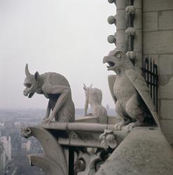 Gargoyles on the balustrade of the Grande Galerie, replica of a 12th century original (stone) | Obraz na stenu