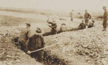 U.S. Marines in France Digging in, 1917-19 (b/w photo) | Obraz na stenu