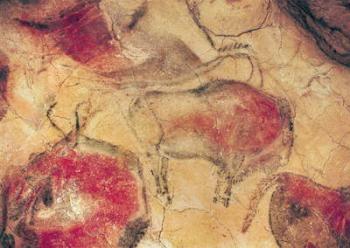 Bisons, from the Caves at Altamira, c.15000 BC (cave painting) | Obraz na stenu