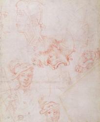 Studies of heads, 1508-12d(red chalk on paper) (verso) | Obraz na stenu