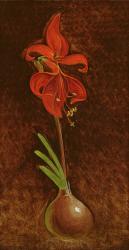 Amaryllis Formosissima, 1808 (oil on canvas) | Obraz na stenu