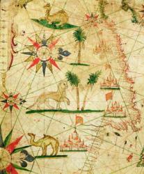 The North Coast of Africa, from a nautical atlas, 1651 (ink on vellum) (detail from 330922) | Obraz na stenu
