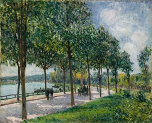 Allée of Chestnut Trees, 1878 (oil on canvas) | Obraz na stenu