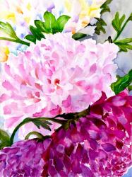 Pink Peony | Obraz na stenu