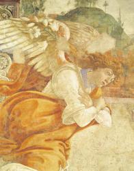 The Annunciation, detail of the Archangel Gabriel, from San Martino della Scala, 1481 (fresco mounted on panel) | Obraz na stenu