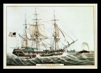 American Whaler, engraved by Nathaniel Currier (1813-88) (colour litho) | Obraz na stenu