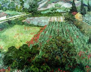 Field with Poppies, 1889 (oil on canvas) | Obraz na stenu