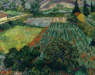 Field with Poppies, 1889 (oil on canvas) | Obraz na stenu