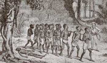 A group of captured Africans being led away by a white slaver. From L'Univers Illustre published in Paris in 1868. | Obraz na stenu