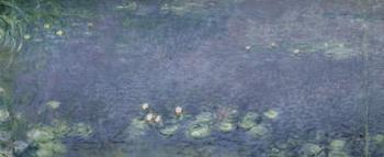 Waterlilies: Morning, 1914-18 (centre left section) | Obraz na stenu