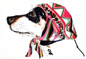 Pooch In Pucci, 2012 (pen and ink on paper) | Obraz na stenu